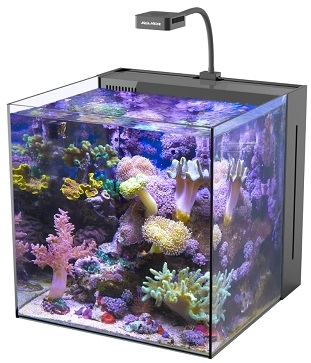 Aqua Medic Yasha 60 Marine Aquarium